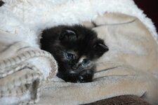 DSC_3059 [Ανάλυση οθόνης].jpg