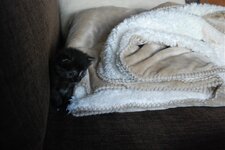 DSC_3063 [Ανάλυση οθόνης].jpg