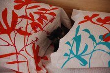 DSC_3089 [Ανάλυση οθόνης].jpg