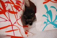 DSC_3090 [Ανάλυση οθόνης].jpg