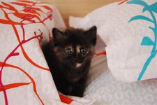 DSC_3097 [Ανάλυση οθόνης].jpg