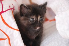 DSC_3098 [Ανάλυση οθόνης].jpg