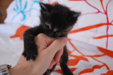 DSC_3103 [Ανάλυση οθόνης].jpg