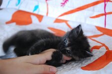 DSC_3112 [Ανάλυση οθόνης].jpg