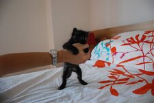 DSC_3116 [Ανάλυση οθόνης].jpg