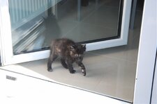 DSC_3120 [Ανάλυση οθόνης].jpg