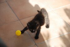 DSC_3126 [Ανάλυση οθόνης].jpg