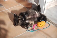 DSC_3138 [Ανάλυση οθόνης].jpg