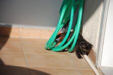 DSC_3167 [Ανάλυση οθόνης].jpg