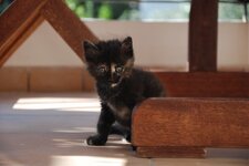 DSC_3193 [Ανάλυση οθόνης].jpg