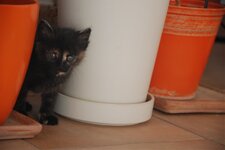 DSC_3203 [Ανάλυση οθόνης].jpg