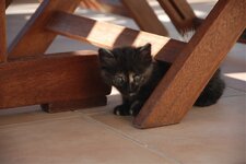 DSC_3211 [Ανάλυση οθόνης].jpg