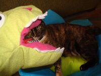 φθινώπορο 2009 159 α.jpg