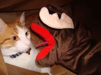 φθινώπορο 2009 160 α.jpg