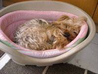 Eικόνες 003.jpg