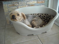 Eικόνες 044.jpg