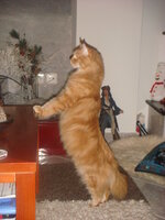 duran and cammy 2009 029.jpg