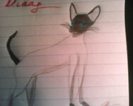 Εικόνα 001.jpg