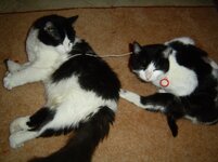 Κουκλος και Αλινα 002.jpg