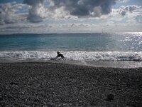 Εικόνα 486.jpg