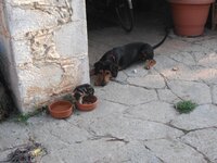 Εικόνα 526.jpg