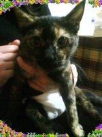 voula in my arms2222.jpg