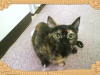 voula on the carpet1mon.jpg