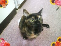 voula on the carpet22.jpg