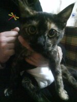 voula in my arms3.jpg