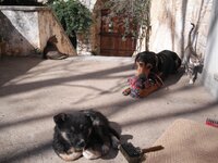 Εικόνα 015.jpg