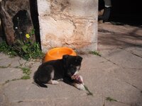 Εικόνα 029.jpg