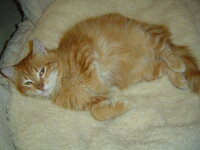 Jino and Nino 002.JPG