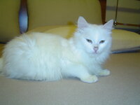 Jino and Nino 012.JPG Jino and Nino 012.JPG