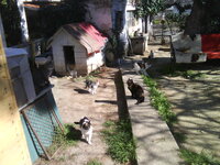 Panorama 18.03.2010-1.jpg