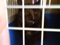 Steirosi 18.03-1.jpg