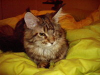 g3 26 3 2010 023.JPG