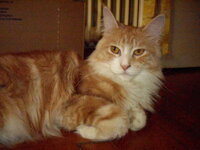 g3 26 3 2010 036.JPG