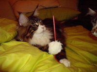 g3 26 3 2010 026.JPG