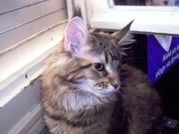 g3 26 3 2010 044.JPG