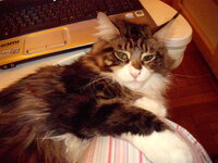 g3 26 3 2010 013.JPG