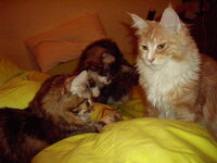 g3 26 3 2010 024.JPG