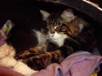 g3 26 3 2010 015.JPG