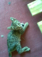 Εικόνα177 (2).jpg