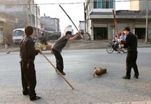 na diagrapfi amesos.jpg