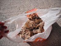 Εικόνα 004.jpg