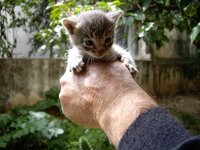 Copy of IMGP0899.JPG