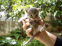 Copy of IMGP0900.JPG