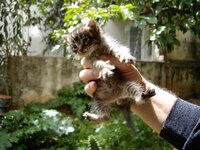 Copy of IMGP0901.JPG