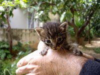 Copy of IMGP0904.JPG