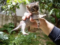 Copy of IMGP0905.JPG